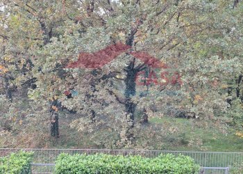 Foto 115 - Villa a Schiera VIA DANTE ALIGHIERI, Saronno - foto 115