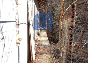 Foto 17 - Independent house Fraz. Priacco, Cuorgnè - photo 17