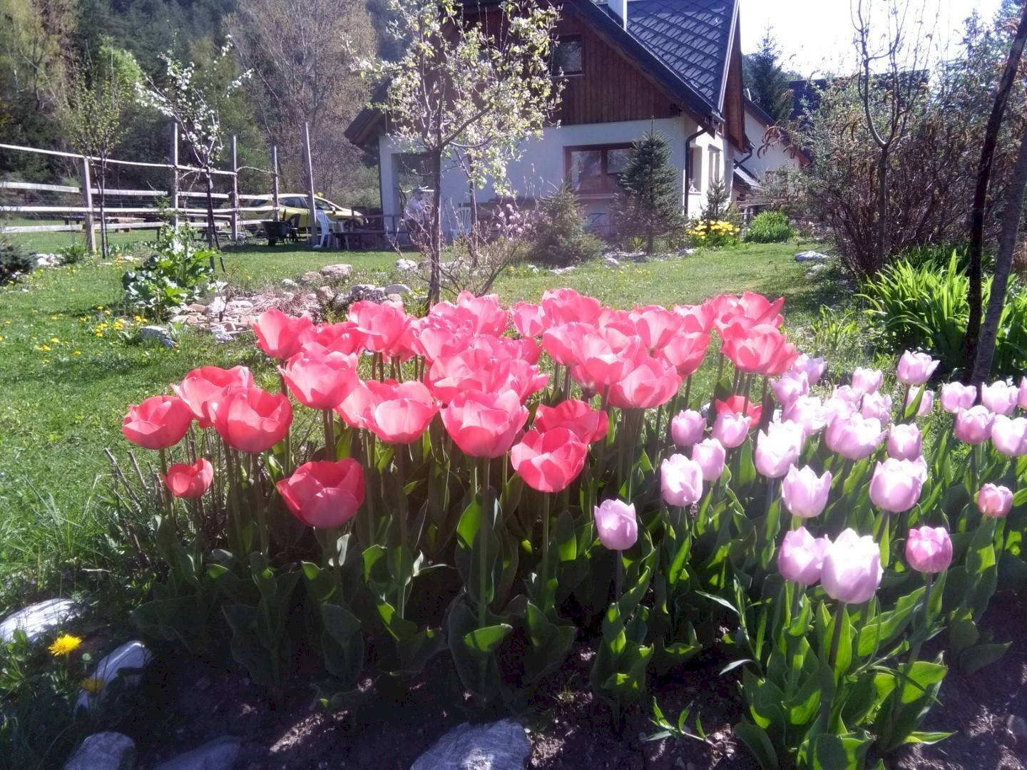 Foto 1 - Villa Malborghetto Valbruna - foto 1