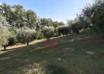 Foto 59 - Rustico Contrada Santa Maria Maddalena
 
5, Sant'Angelo in Pontano - foto 59