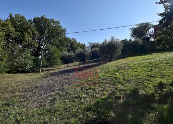 Foto 61 - Rustico Contrada Santa Maria Maddalena
 
5, Sant'Angelo in Pontano - foto 61