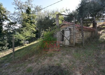 Foto 63 - Rustico Contrada Santa Maria Maddalena
 
5, Sant'Angelo in Pontano - foto 63