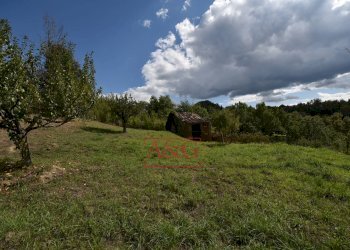 Foto 11 - Rustic villa casa paradisi superiore
 
snc, Amandola - photo 11