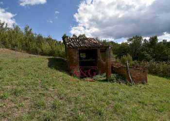 Foto 16 - Rustic villa casa paradisi superiore
 
snc, Amandola - photo 16