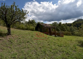 Foto 17 - Rustic villa casa paradisi superiore
 
snc, Amandola - photo 17