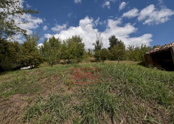 Foto 18 - Rustic villa casa paradisi superiore
 
snc, Amandola - photo 18