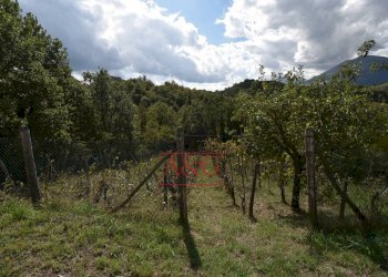 Foto 20 - Rustic villa casa paradisi superiore
 
snc, Amandola - photo 20