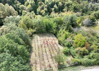 Foto 29 - Rustic villa casa paradisi superiore
 
snc, Amandola - photo 29