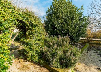 Foto 34 - Rustico Contrada Don Giulio, Francavilla Fontana - foto 34