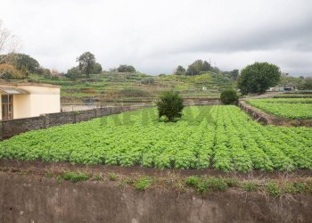 Giardino - Villa via tolmezzo
 
22, Acireale - foto 48