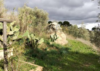 Giardino - Rustico contrada fegotello, Piazza Armerina - foto 10