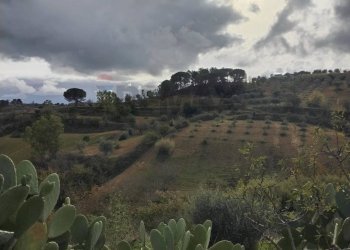 Vista delle montagne - Rustico contrada fegotello, Piazza Armerina - foto 31