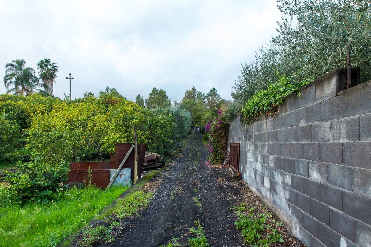 Giardino - Terreno agricolo Via Caramma, Santa Venerina - foto 2