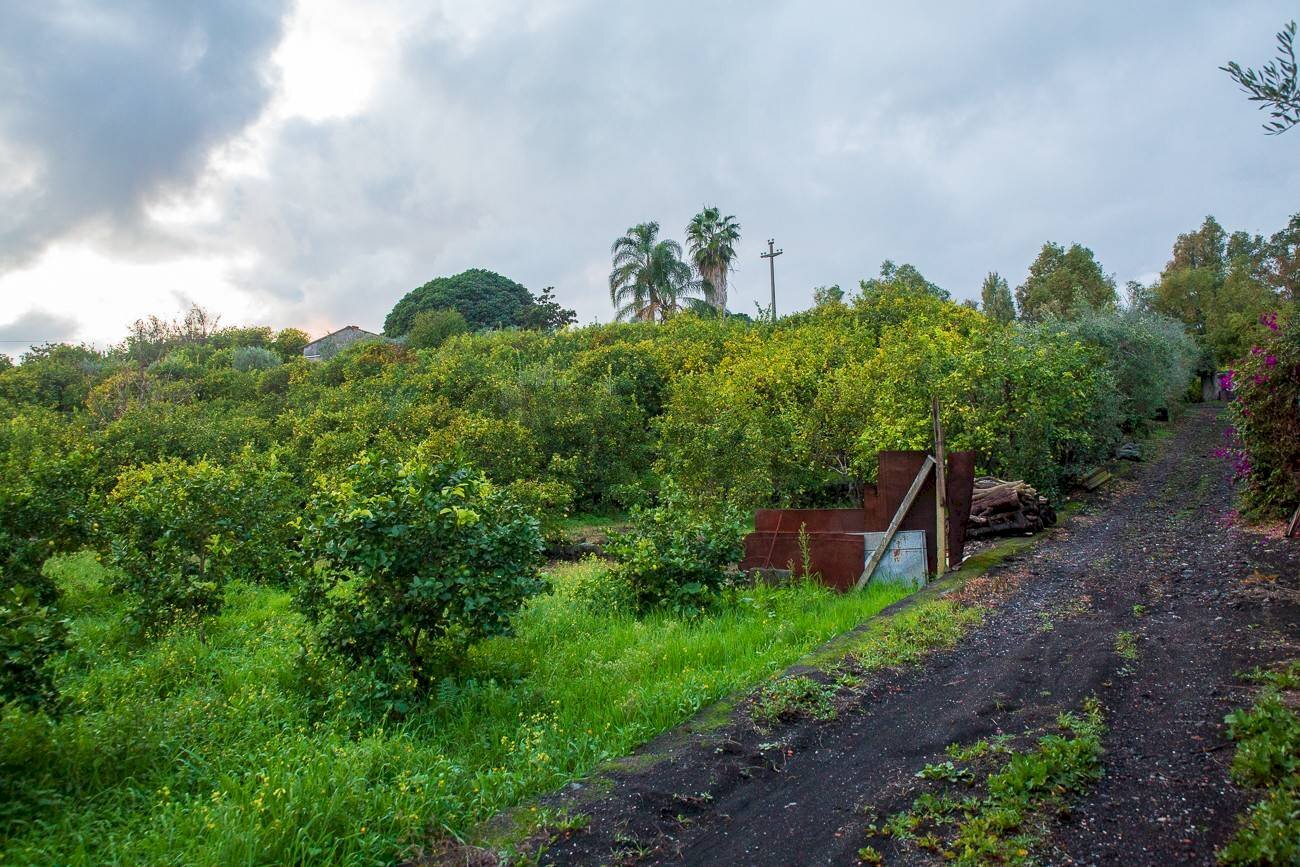 Giardino - Terreno agricolo Via Caramma, Santa Venerina - foto 3