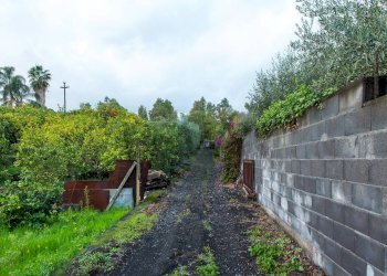 Giardino - Terreno agricolo Via Caramma, Santa Venerina - foto 2