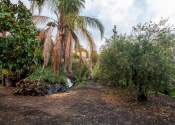 Giardino - Terreno agricolo Via Caramma, Santa Venerina - foto 4