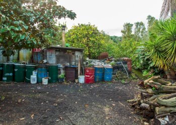 Giardino - Terreno agricolo Via Caramma, Santa Venerina - foto 6