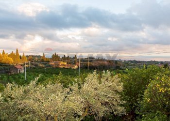Edificio all\'aperto - Terreno agricolo Via Caramma, Santa Venerina - foto 12
