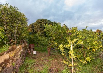 Giardino - Terreno agricolo Via Caramma, Santa Venerina - foto 16