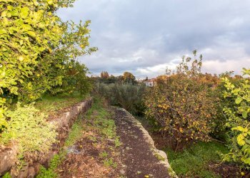 Giardino - Terreno agricolo Via Caramma, Santa Venerina - foto 17