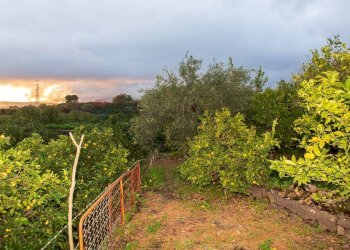 Giardino - Terreno agricolo Via Caramma, Santa Venerina - foto 18