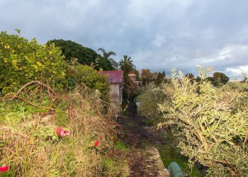 Vista delle montagne - Terreno agricolo Via Caramma, Santa Venerina - foto 21