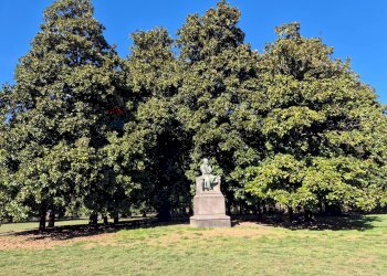 Giardino - Attico Milano - foto 32