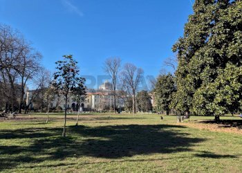 Giardino - Attico Milano - foto 33