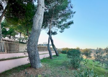 Giardino - Villa Montemarciano - foto 81