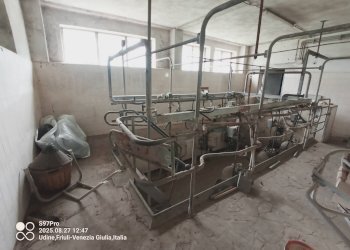 Foto 6 - Capannone via cividina
90, Tavagnacco - foto 6