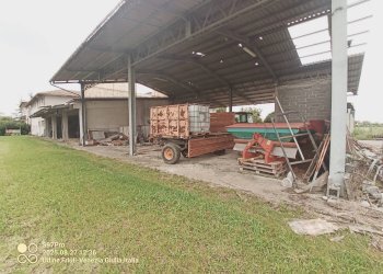 Foto 9 - Capannone via cividina
90, Tavagnacco - foto 9