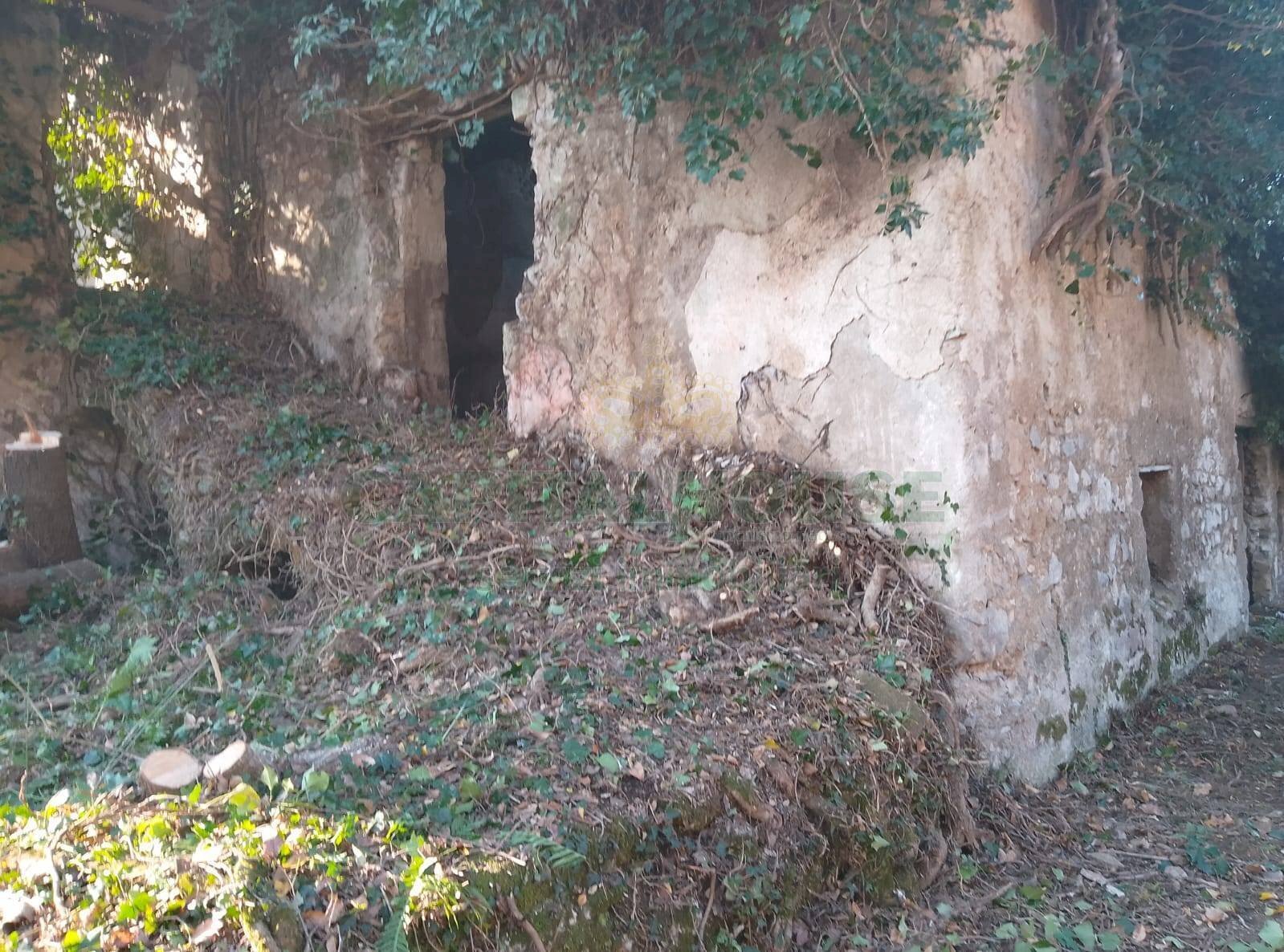 Foto 3 - Terreno agricolo Via ciorani, Mercato San Severino - foto 3