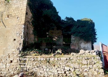 Foto 1 - Terreno agricolo Via ciorani, Mercato San Severino - foto 1
