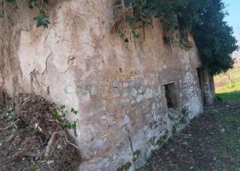 Foto 2 - Terreno agricolo Via ciorani, Mercato San Severino - foto 2
