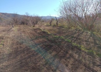 Foto 6 - Terreno agricolo Via ciorani, Mercato San Severino - foto 6