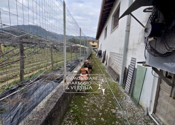Foto 7 - Magazzino via Sarzanese, Massarosa - foto 7