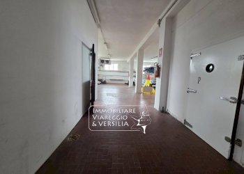 Foto 15 - Magazzino via Sarzanese, Massarosa - foto 15