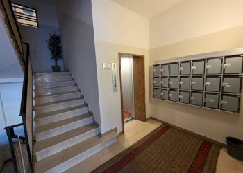 Interno palazzo - Quadrilocale via Angelo Finelli, 1, Bologna (zona Irnerio) - foto 5