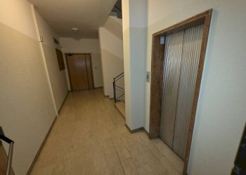 Interno palazzo - Quadrilocale via Angelo Finelli, 1, Bologna (zona Irnerio) - foto 27