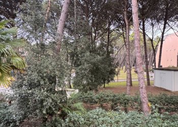 Foto 7 - Villa a Schiera Ravenna - foto 7