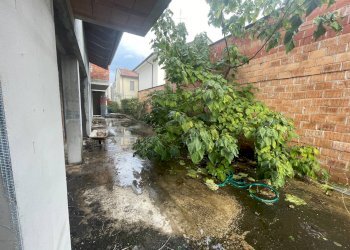 Giardino - Rustico Via Don Minzoni
 
5, Parabiago - foto 14