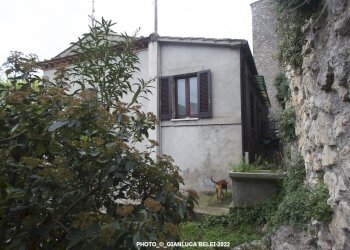 _MG_0970_BASSA.jpg - Townhouse Viale della Rimembranza 4, Lugnano in Teverina - photo 18