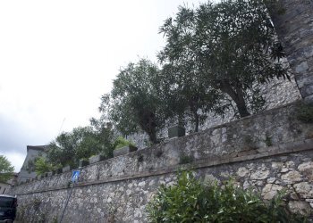 _MG_1105_BASSA.jpg - Townhouse Viale della Rimembranza 4, Lugnano in Teverina - photo 20