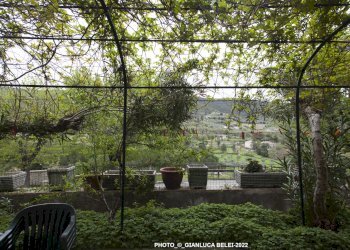 _MG_0964_BASSA.jpg - Townhouse Viale della Rimembranza 4, Lugnano in Teverina - photo 30