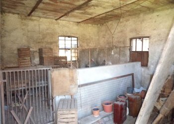 Rustico Pinerolo - foto 30