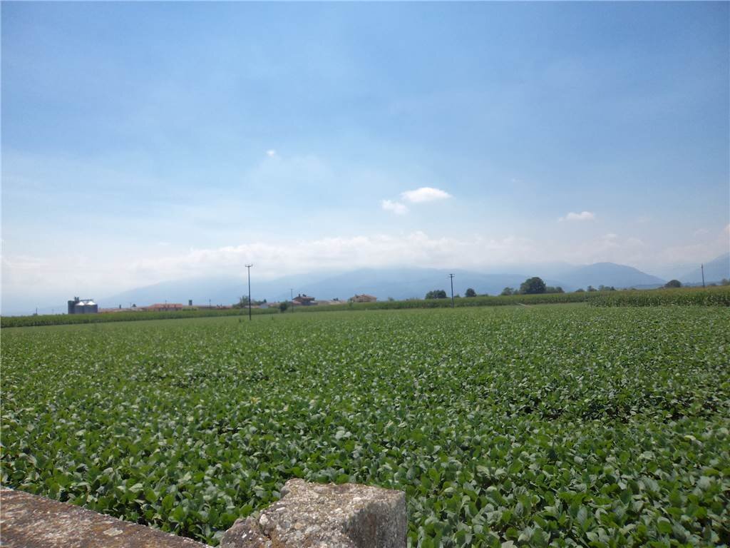 Capannone Cavour - foto 2