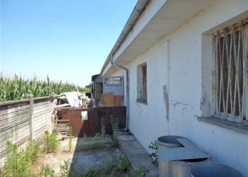 Capannone Cavour - foto 24