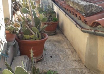 Foto 41 - Casa indipendente Corso Santarelli, Manoppello - foto 41