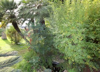 Foto 8 - Villa VIA AMEDEO MODIGLIANI
 
12, Rende - photo 8