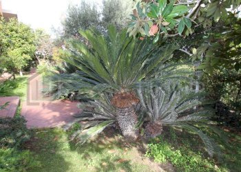 Foto 16 - Villa VIA AMEDEO MODIGLIANI
 
12, Rende - photo 16